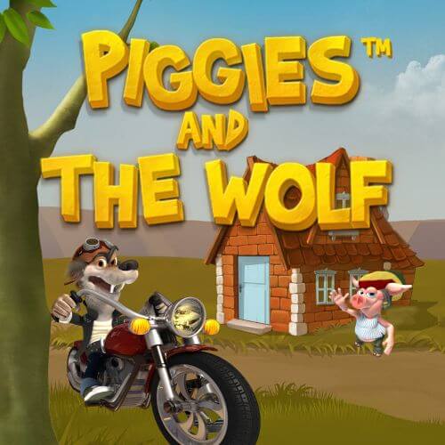 pp image